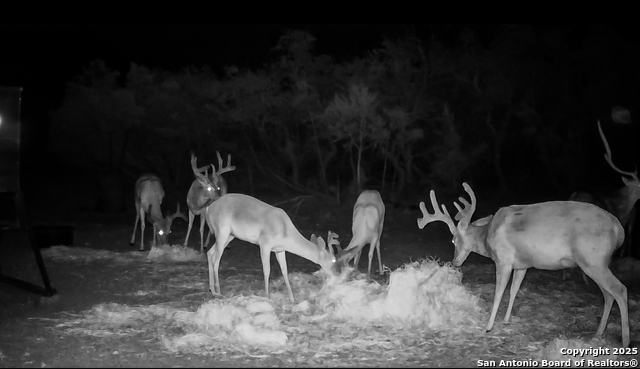 Image 4 of 88 For 9495 Morales Ln