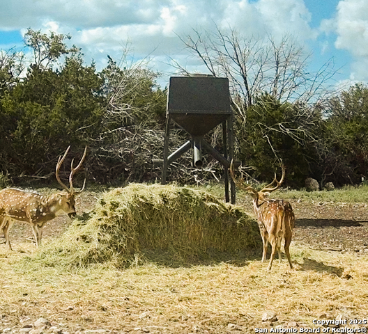Image 50 of 88 For 9495 Morales Ln