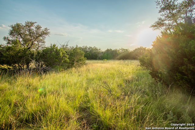 Image 69 of 88 For 9495 Morales Ln