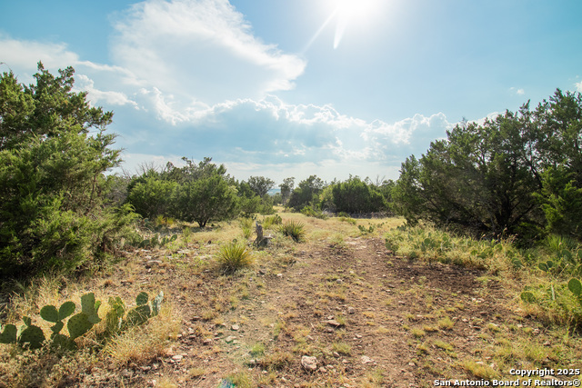 Image 71 of 88 For 9495 Morales Ln