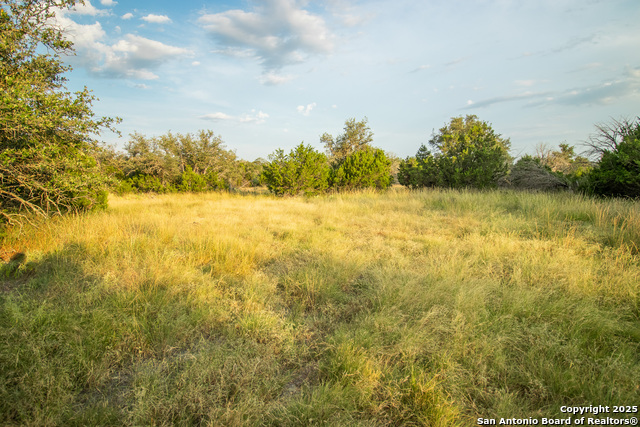 Image 79 of 88 For 9495 Morales Ln