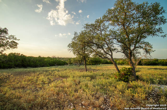 Image 8 of 88 For 9495 Morales Ln
