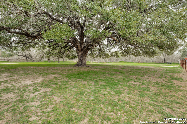 Image 21 of 30 For 486 County Road 333