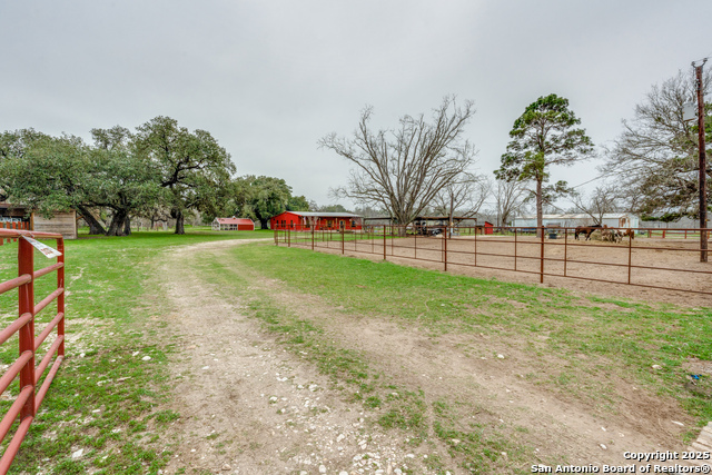 Image 22 of 30 For 486 County Road 333