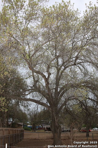 Listing photo id 11 for 510 Fm 471 North