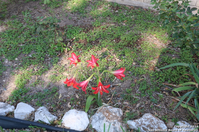 Listing photo id 44 for 510 Fm 471 North