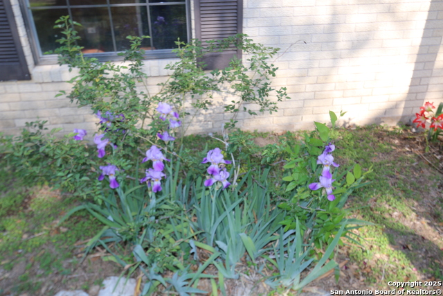 Listing photo id 45 for 510 Fm 471 North