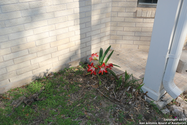 Listing photo id 46 for 510 Fm 471 North