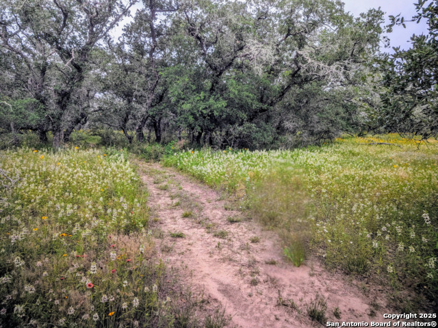 Details for Tbd County Road 6813, Natalia, TX 78059