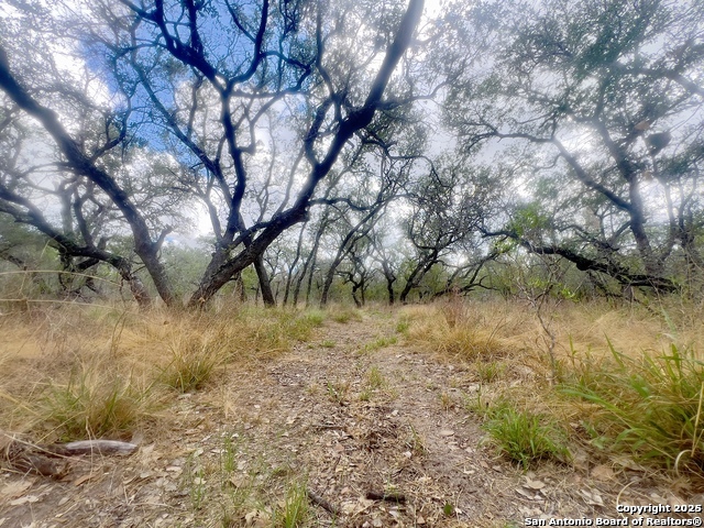Image 4 of 23 For Tbd County Road 6813