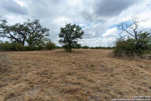 Listing photo id 23 for 5425 Lone Oak