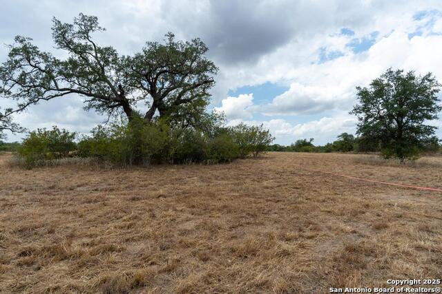 Listing photo id 25 for 5425 Lone Oak