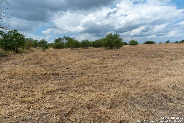 Listing photo id 9 for 5425 Lone Oak