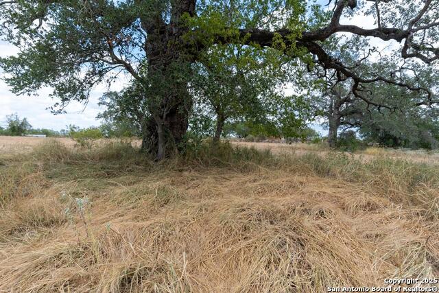 Listing photo id 18 for 5425 Lone Oak