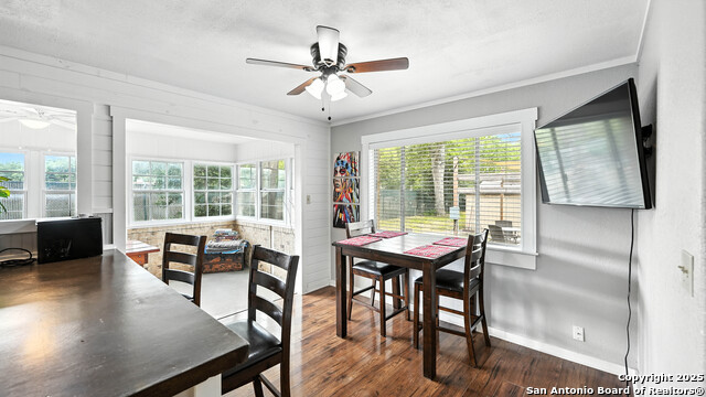 Listing photo id 18 for 683 Albert  