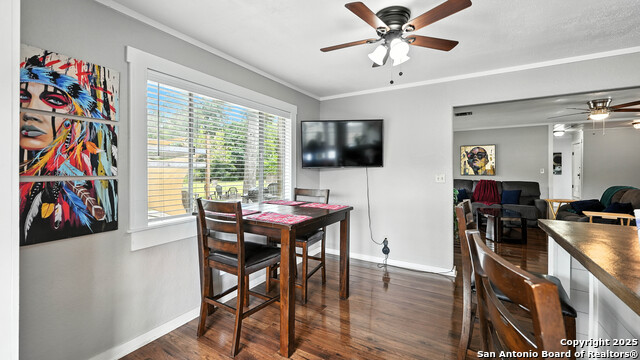 Listing photo id 23 for 683 Albert  