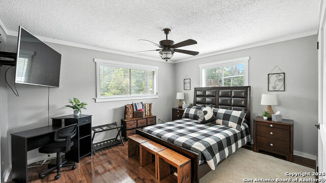 Listing photo id 28 for 683 Albert  
