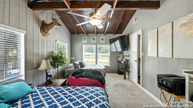 Listing photo id 15 for 695 Albert  