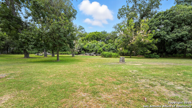 Listing photo id 37 for 695 Albert  