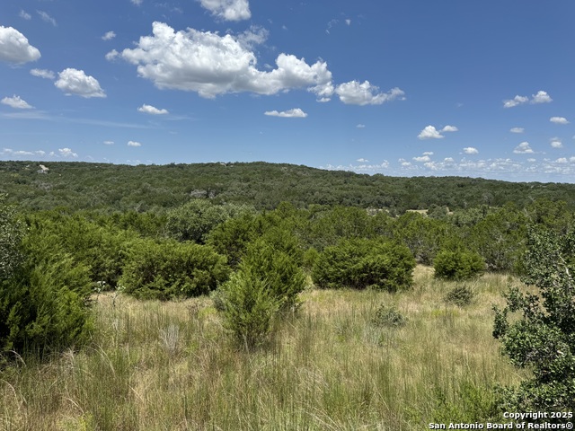 Image 16 of 47 For 10027 Creekwood