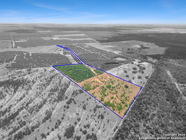 Listing photo id 25 for 2391 County Road 414