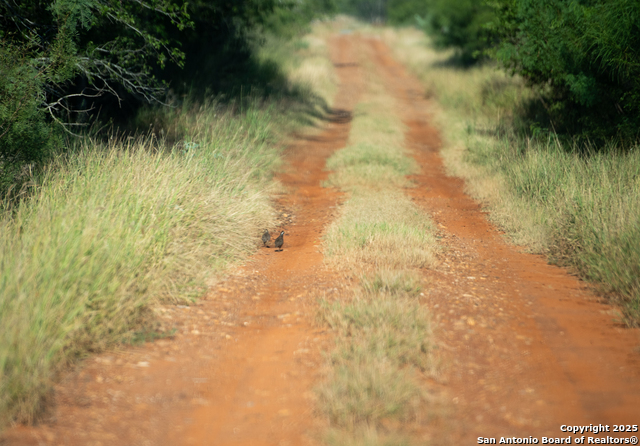 Image 10 of 18 For 000 Hwy 16 E