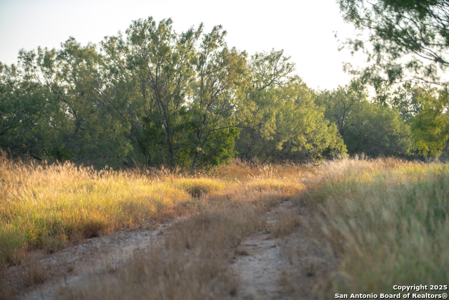 Image 11 of 18 For 000 Hwy 16 E