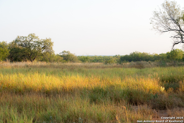 Image 4 of 18 For 000 Hwy 16 E