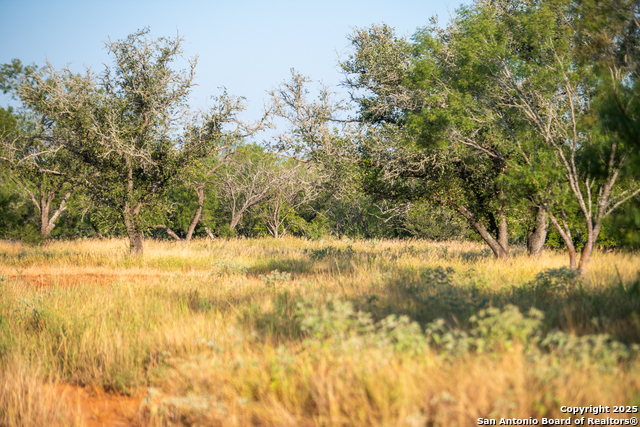 Image 5 of 18 For 000 Hwy 16 E