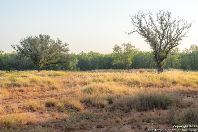 Image 6 of 18 For 000 Hwy 16 E