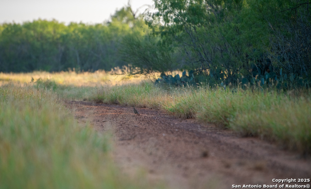 Image 8 of 18 For 000 Hwy 16 E