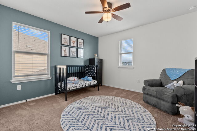 Image 26 of 39 For 295 Kat Garnet