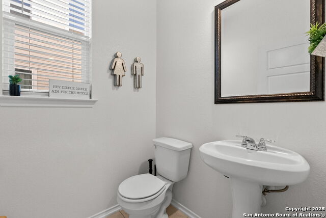 Image 32 of 39 For 295 Kat Garnet