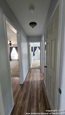 Image 20 of 32 For 822 Durr