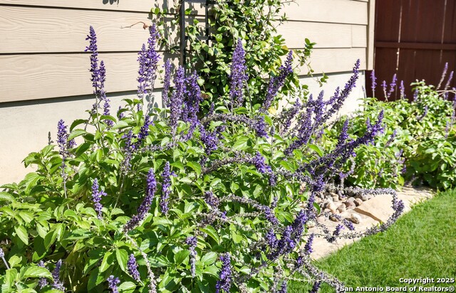 Image 28 of 40 For 9615 Rousseau