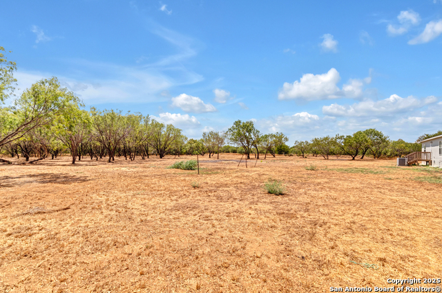 Image 12 of 29 For 16445 Old Corpus Christi Hwy