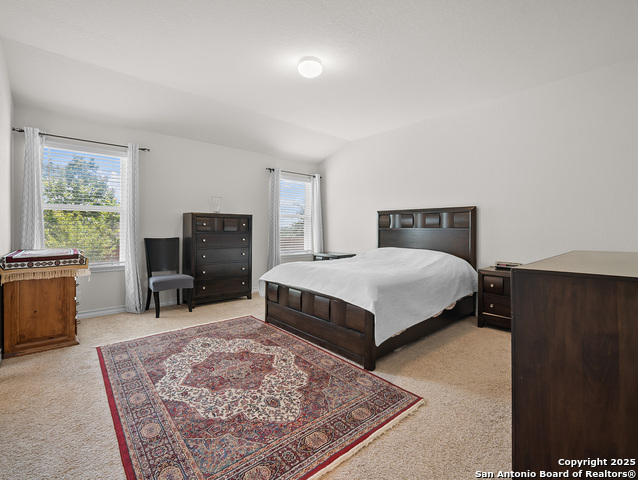 Image 18 of 36 For 5022 Dancing Gopher