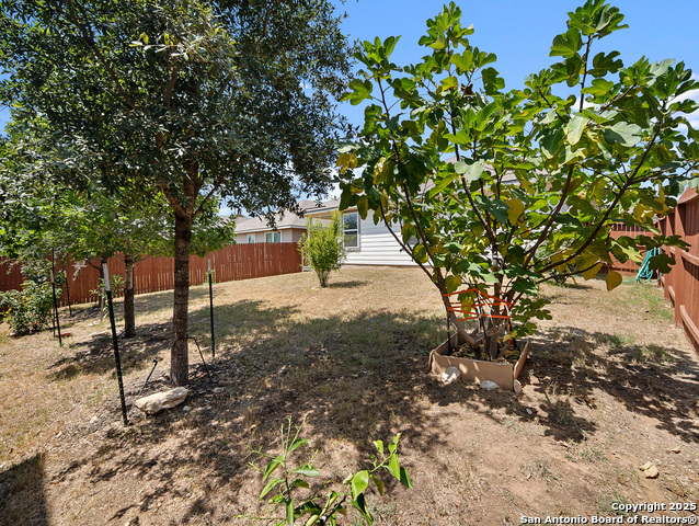 Image 26 of 36 For 5022 Dancing Gopher