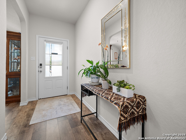 Image 5 of 36 For 5022 Dancing Gopher