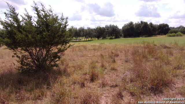 Details for 216 Calvin Barrett N, Blanco, TX 78606