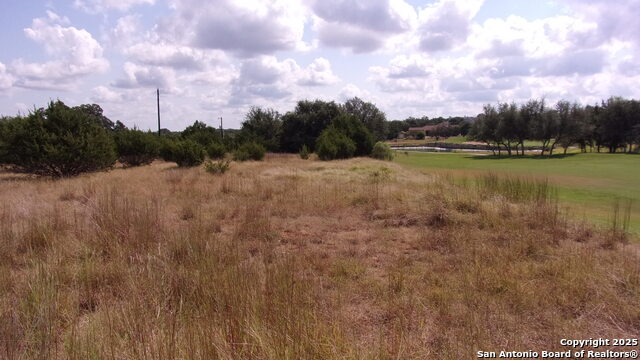 Image 11 of 20 For 216 Calvin Barrett N