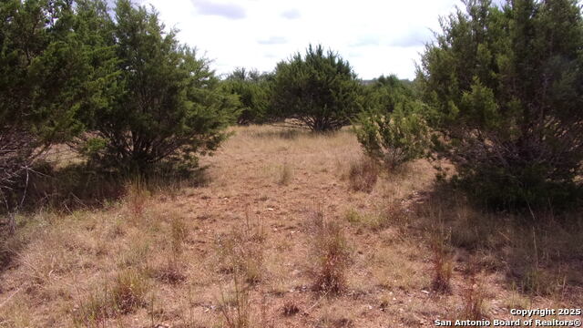 Image 12 of 20 For 216 Calvin Barrett N