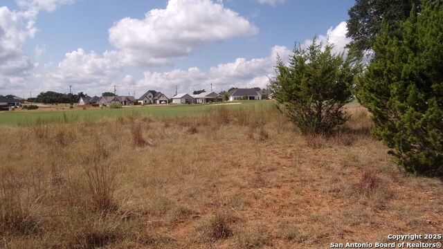 Image 13 of 20 For 216 Calvin Barrett N