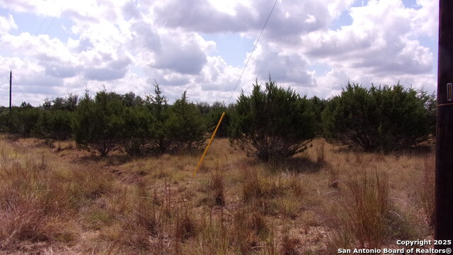 Image 2 of 20 For 216 Calvin Barrett N