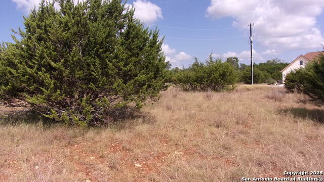 Image 3 of 20 For 216 Calvin Barrett N