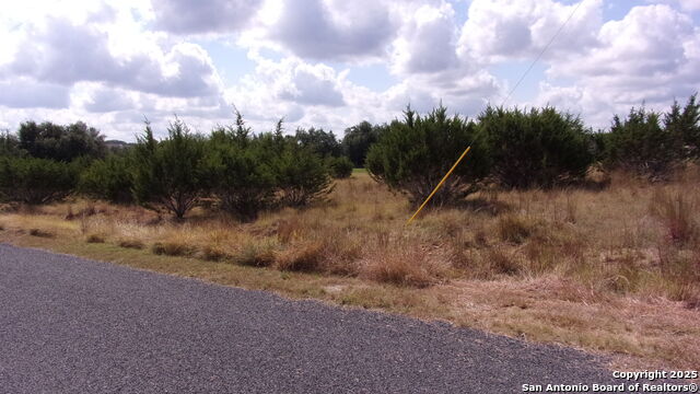 Image 4 of 20 For 216 Calvin Barrett N