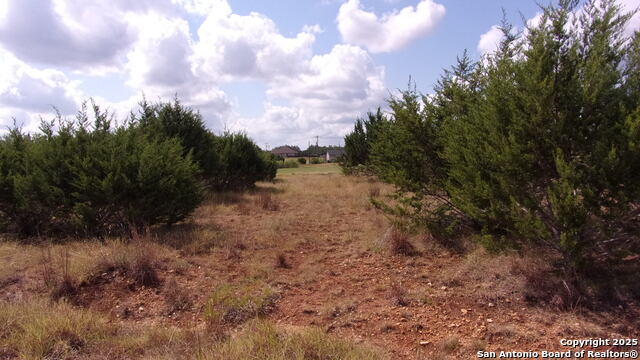 Image 5 of 20 For 216 Calvin Barrett N