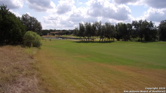 Image 6 of 20 For 216 Calvin Barrett N