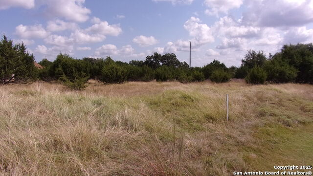 Image 9 of 20 For 216 Calvin Barrett N