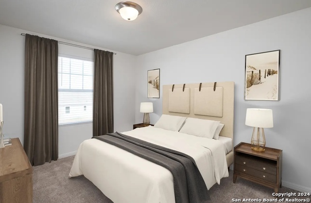 Image 11 of 13 For 10551 Lesser Snow